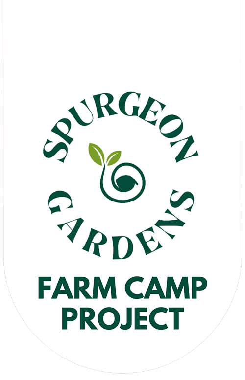 Spurgeon Gardens Camp Project